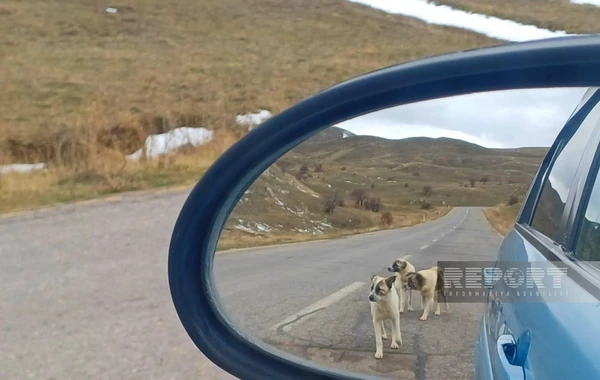 Batabatın heyranedici payız mənzərəsindən FOTOREPORTAJ