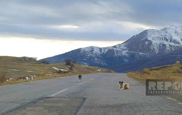 Batabatın heyranedici payız mənzərəsindən FOTOREPORTAJ