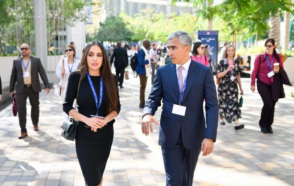 Leyla Əliyeva Dubayda COP-28 çərçivəsində iqlim dəyişiklikləri üzrə müzakirələrdə iştirak edib - FOTO