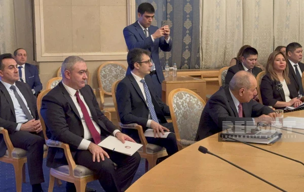 Azərbaycan MDB İqtisadi Şurasının 100-cü iclasında iştirak edib - FOTO