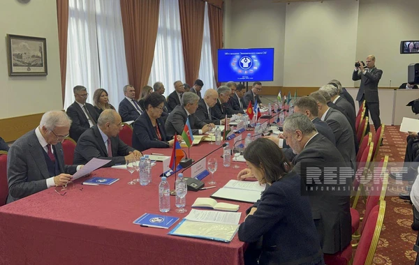 Azərbaycan MDB İqtisadi Şurasının 100-cü iclasında iştirak edib - FOTO