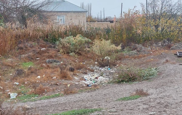 Azərbaycanda bələdiyyə sədri cərimələnib - FOTO