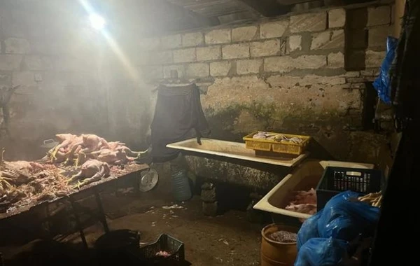 Masallıda toyuq kəsim sexinin işi məhdudlaşdırılıb - FOTO