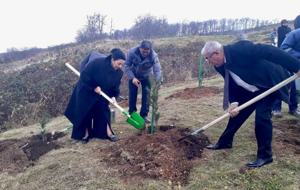 Göygöl Milli Parkının ərazisində su hövzəsinə 1500-dən çox balıq körpəsi buraxılıb - FOTO