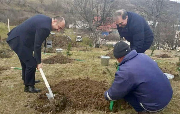 Göygöl Milli Parkının ərazisində su hövzəsinə 1500-dən çox balıq körpəsi buraxılıb - FOTO