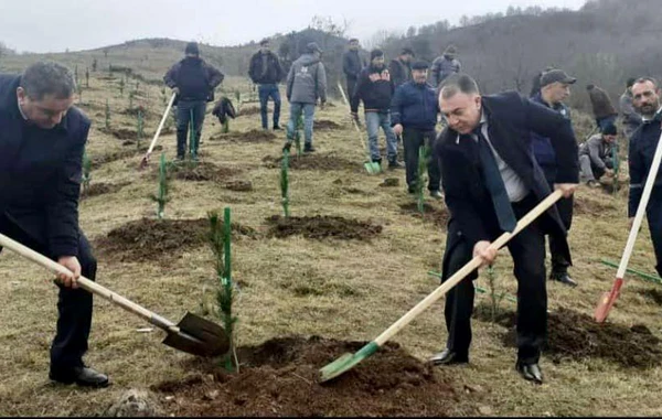 Göygöl Milli Parkının ərazisində su hövzəsinə 1500-dən çox balıq körpəsi buraxılıb - FOTO