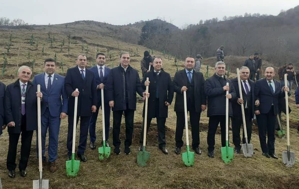 Göygöl Milli Parkının ərazisində su hövzəsinə 1500-dən çox balıq körpəsi buraxılıb - FOTO