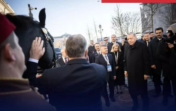 Президент Турции встретился с премьером Венгрии - ФОТО