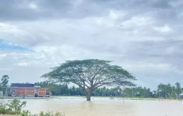 Taylandda musson yağışları həyatı iflic etdi, 20 min adam evsiz qaldı - FOTO/VİDEO