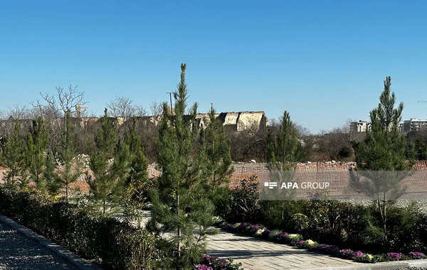 Ağdamda 5 hektarlıq mərkəzi park salınacaq - FOTO