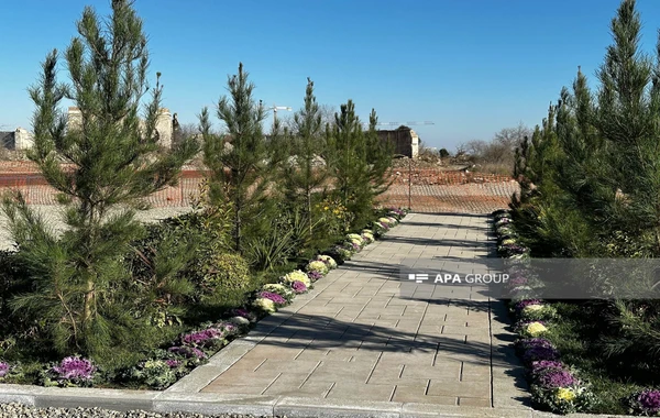 Ağdamda 5 hektarlıq mərkəzi park salınacaq - FOTO