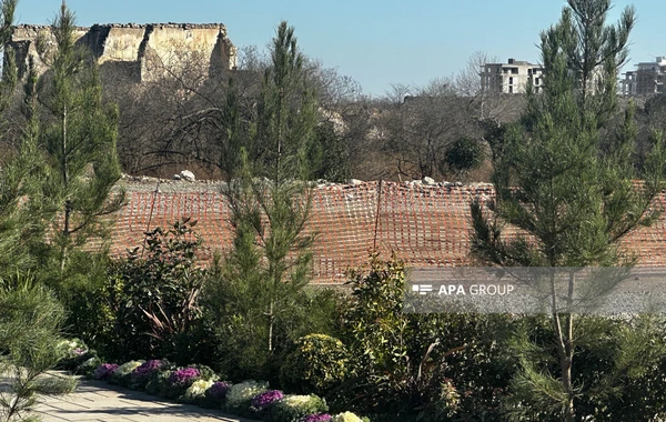 Ağdamda 5 hektarlıq mərkəzi park salınacaq - FOTO