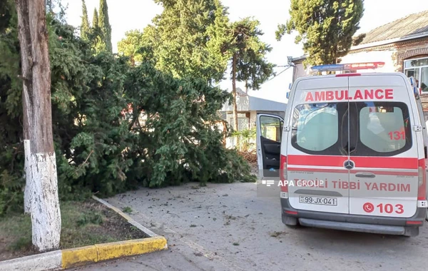 Zaqatalada külək ağacı aşırdı, bir nəfər yaralandı - FOTO
