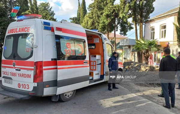 Zaqatalada külək ağacı aşırdı, bir nəfər yaralandı - FOTO