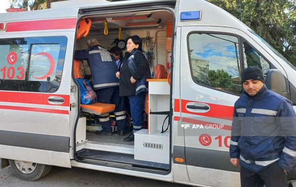 Zaqatalada külək ağacı aşırdı, bir nəfər yaralandı - FOTO