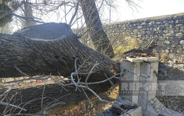 Qaxda külək məktəbin dam örtüyünü uçurub - FOTO