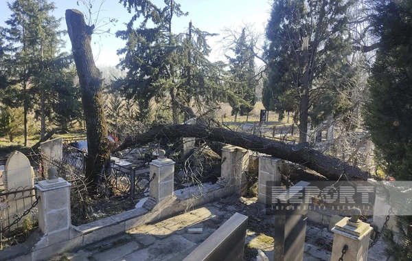 Qaxda külək məktəbin dam örtüyünü uçurub - FOTO