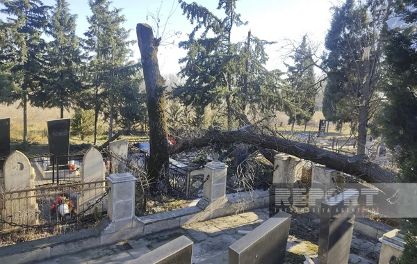 Qaxda külək məktəbin dam örtüyünü uçurub - FOTO