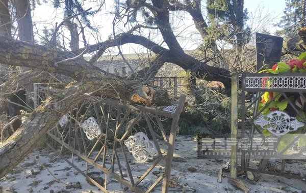 Qaxda külək məktəbin dam örtüyünü uçurub - FOTO