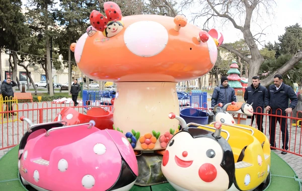 Nazirlik Yeni illə bağlı Bakıdakı attraksionlarda yoxlama apardı - FOTO