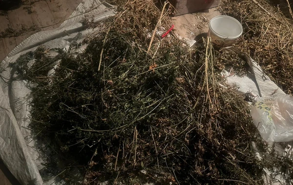 Sabirabad sakininin evində 4 kiloqram narkotik tapıldı - FOTO