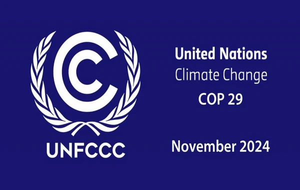 Səfir: “Azərbaycan COP29-u yüksək beynəlxalq standartlara uyğun səviyyədə keçirəcək”