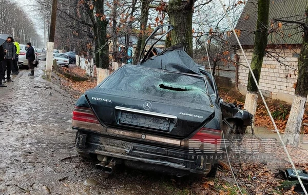 Lənkəranda avtomobil ağaca çırpılıb - Ölən var - FOTO