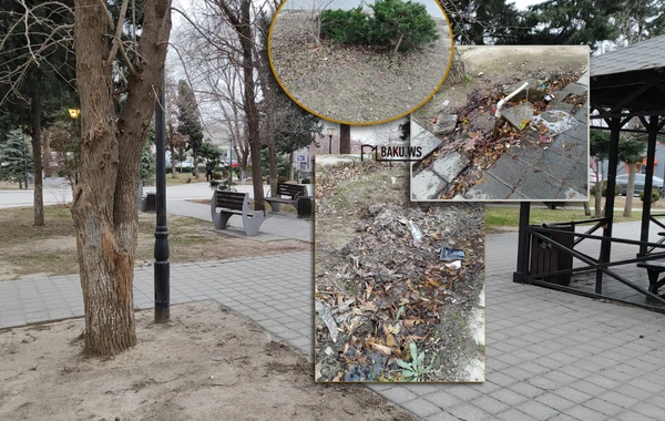 Bakıda daha bir park təmir ediləcək - FOTO
