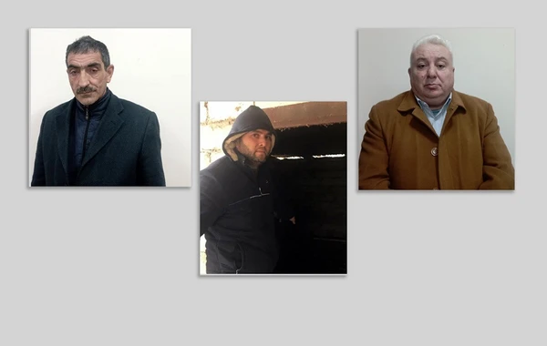 Bölgələrdə fərdi təsərrüfatlardan oğurluqlar edən dəstə ifşa olunub - FOTO