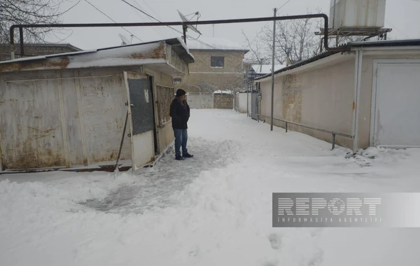 Salyanda qar fəsadlar törədib, 20-yə yaxın kənd işıqsız qalıb - FOTO