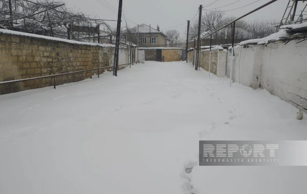 Salyanda qar fəsadlar törədib, 20-yə yaxın kənd işıqsız qalıb - FOTO