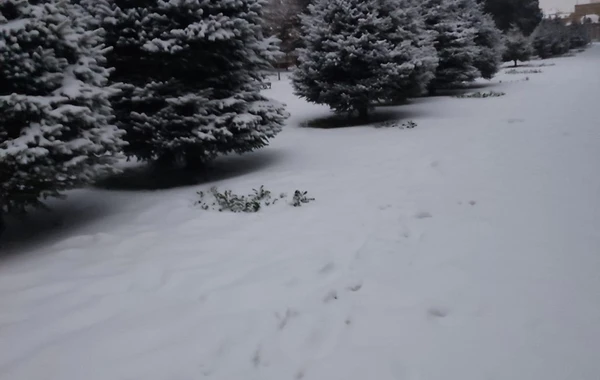 Qarlı Bakıdan maraqlı görüntülər - FOTO