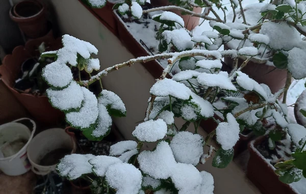 Qarlı Bakıdan maraqlı görüntülər - FOTO