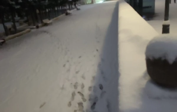 Qarlı Bakıdan maraqlı görüntülər - FOTO