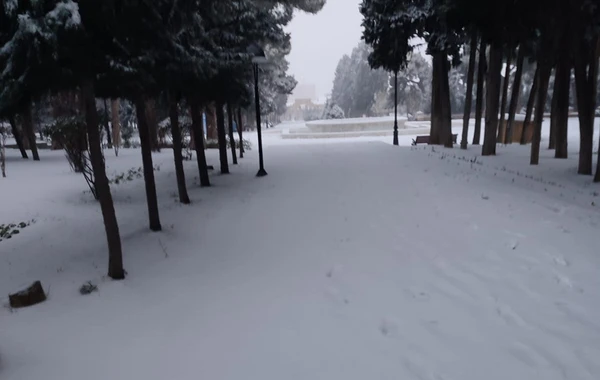 Qarlı Bakıdan maraqlı görüntülər - FOTO