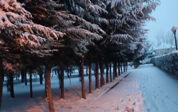 Qarlı Bakıdan maraqlı görüntülər - FOTO