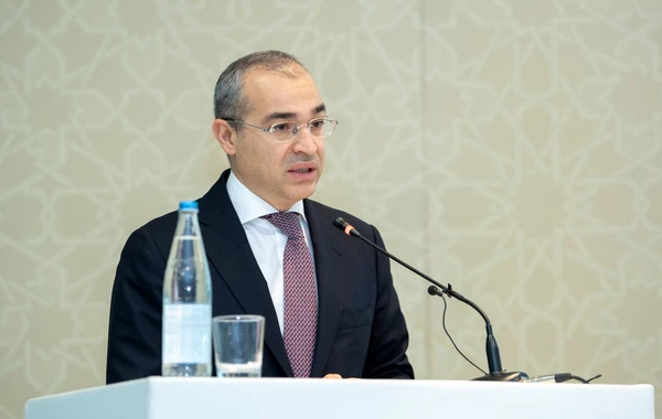 Mikayıl Cabbarov: “2023-cü ildə 26 sahibkarlıq subyektinə rezidentlik statusu verilib” - FOTO