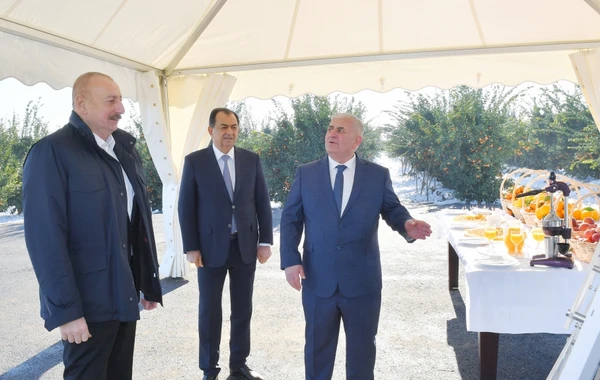 Prezident İlham Əliyev Lənkəran rayonuna gedib - YENİLƏNİB - FOTO