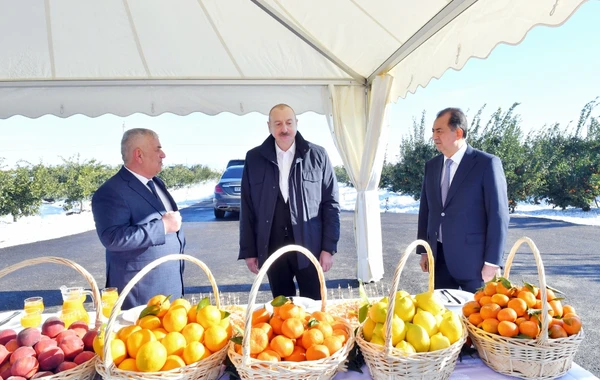 Prezident İlham Əliyev Lənkəran rayonuna gedib - YENİLƏNİB - FOTO