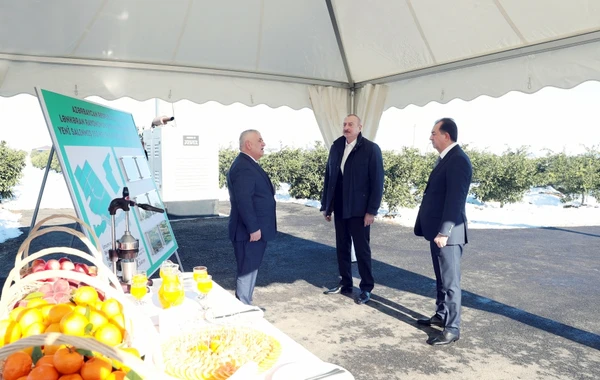 Prezident İlham Əliyev Lənkəran rayonuna gedib - YENİLƏNİB - FOTO