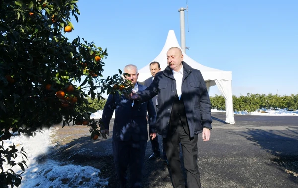 Prezident İlham Əliyev Lənkəran rayonuna gedib - YENİLƏNİB - FOTO