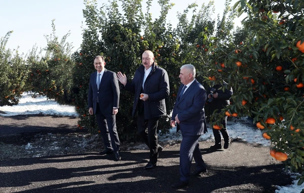 Prezident İlham Əliyev Lənkəran rayonuna gedib - YENİLƏNİB - FOTO