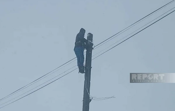 Elektrikin bərpası üçün Bakıdan Cəlilabada texnika və canlı qüvvələr cəlb olunub - FOTO