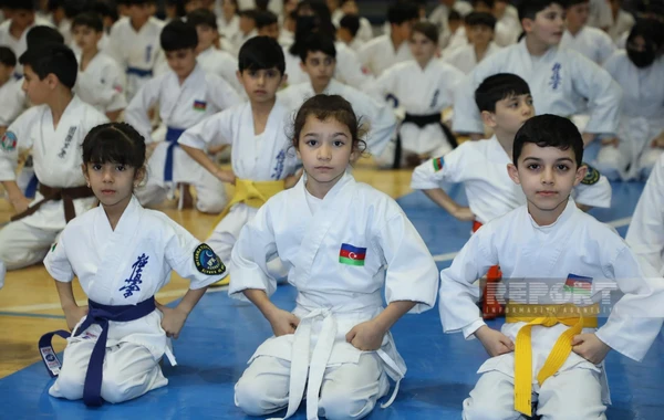 Azərbaycan Fullkontakt Kyokuşin Karate Federasiyasının qış seminarı keçirilib - FOTO/VİDEO