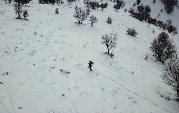 Türkiyədə brakonyer belə tutuldu - FOTO