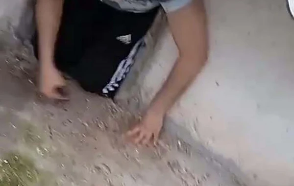 Polis axtarışda olan şəxsi toyuq hinindən tapıb - FOTO