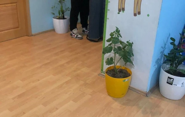 Hərəkətləri ilə hamını cana gətirən TikTokerin xəstəxanadan FOTOsu