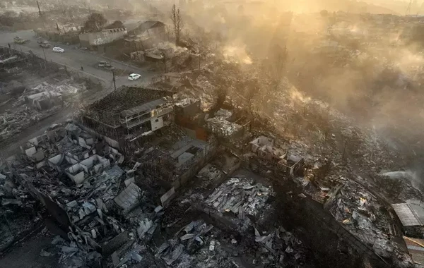 14 min evə ziyan vuran meşə yanğınlarının peyk görüntüləri - FOTO