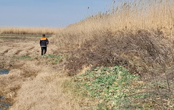 2013-cü il təvəllüdlü oğlanın axtarışları davam edir - FOTO\VİDEO