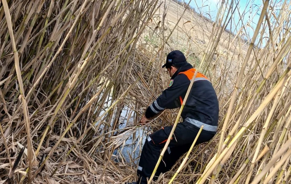 2013-cü il təvəllüdlü oğlanın axtarışları davam edir - FOTO\VİDEO